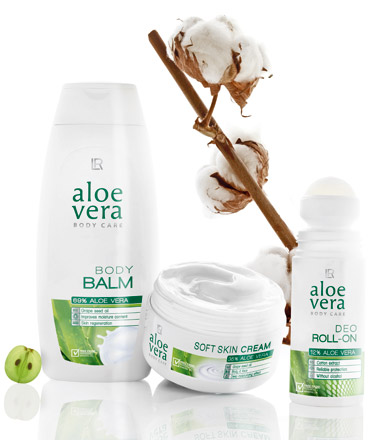 Aloe Vera